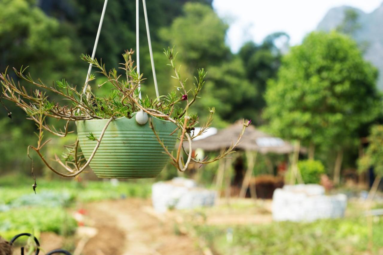 Nirvana Organic Farm Inn Yangshuo Exterior photo